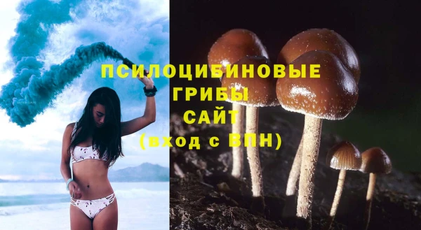 гашик Абинск
