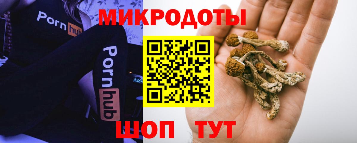 Псилоцибиновые грибы GOLDEN TEACHER  Вход с VPN  Галлюциногенные грибы Psilocybe  Красноуфимск 